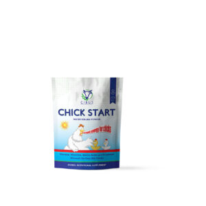 Chick Start