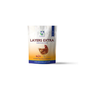 Layers Extra
