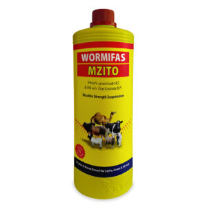 Wormifas Mzito